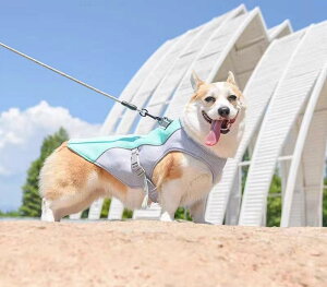 ybg ĕ  ʋC R[M[ t`uhbN Ђ    sN JWA Vv ig ł ^ 傫TCY g H~ bV z obN G炷