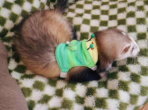 tFbg n[lX 킢 ybg U [v L^s[ ~[ALbg L  xXg^ o  RXv obN    sN