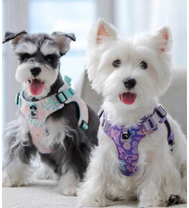  n[lX 킢 tFbg L [v tbN obN  `FXg U ~j`AViEU[ ԕ ʋC   W[