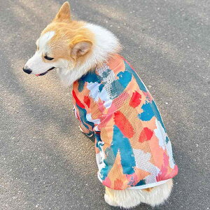  IV ĕ R[M[ gCv[h ʋC   ^Ngbv IW Vv ig ł Jt v[g ^