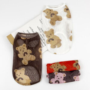  IV ĕ ^  S[fgo[ R[M[ ^ ybg 傫TCY   F N} Vv i` ؍ JWA ig ł m[X[u