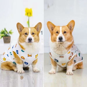  IV ĕ ^ ybg  tH R[M[ JWA ig ł  pCibv Vv i` bV _炩