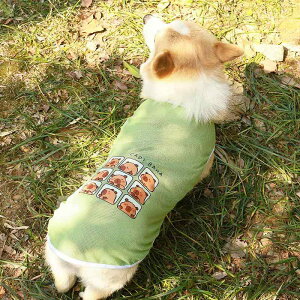  IV ĕ R[M[ _bNXth t   Ăh~ bV JWA  O[ IW Vv 傫TCY ł ^