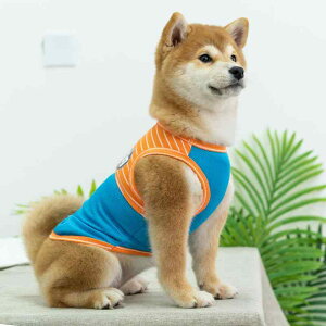  IV ĕ  ʋC K R[M[ t`uhbO ^ ^ ^ ybg IW  JWA 傫TCY _炩 {[_[ ig v[g bV