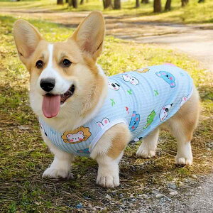  IV ĕ  ʋC ybg R[M[ Ăh~    p_  m[X[u 傫TCY Vv JWA ig ł ^