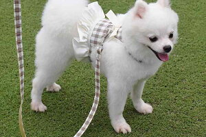 ^ n[lX  ybg L tFbg  U RXv [v [h tbN `FbN  xXg^  AEghA  t ʐ^ Be { F  