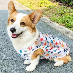 ybg    xXg ʋC іh~ bV ^ ^  R[M[ ViEU[ 傫TCY Vv 킢 n[g Ck