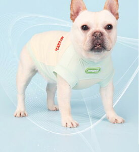 ybg  t  xXg ʋC іh~ Ă΍ h Lk 傫TCY ^ ^  ` R[M[ gCv[h Vv  sN   p