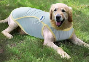 ybg  L   EFA ʋC іh~ Ă΍ 傫TCY ^ ^ ^ S[fgo[ gCv[h |jA Vv   p