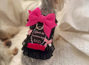   ̎q 킢 ybg t { XpR[ hX }`[Y ~j`AViEU[ [h U LL  sN ^