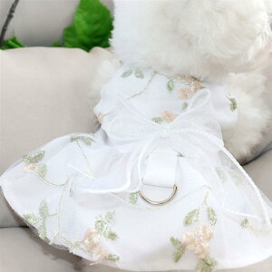   ̎q 킢 ybg U ԕ vZX hX }`[Y rVt[[ |jA _炩 h?   { ʐ^ Be ^