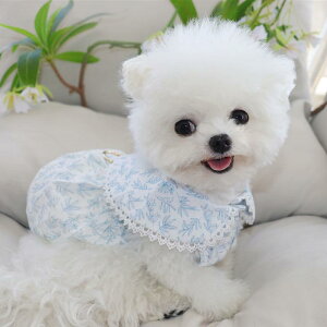   ̎q 킢   t` ԕ tFA[ XJ[g rVt[[ }`[Y L _炩 [X ʐ^ Be Vv ^