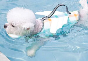  CtWPbg }`[Y rVt[[  ybg j v[ C obN H yM  `FbN  傫TCY   IW ^