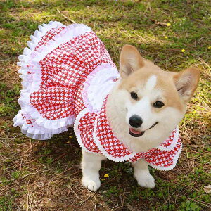   ̎q 킢 ybg vZX t R[M[ t    Ăh~ 悯 ʐ^ Be 璹iq XJ[g {  ^ ^