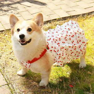   ̎q 킢 s[X XJ[g L~ m[X[u  ʋC [htbN eBA[h t іh~ hbOEFA ybgpi rV R[M[ ^ ^ L o