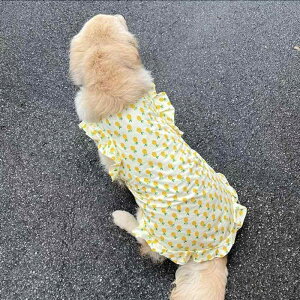   ̎q 킢 s[X XJ[g m[X[u  ʋC t іh~ hbOEFA ybgpi uh[ TGh S[f R[ ^ ^ o U JW