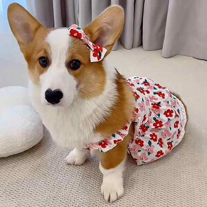   ̎q 킢 s[X XJ[g m[X[u  ʋC [htbN t { [X іh~ hbOEFA ybgpi R[M[ rV t`uhbO ^