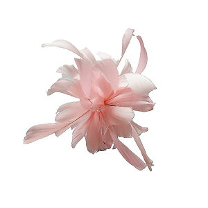 u[` H   `[t Vw  hX ANZT[  p[eB[ a 