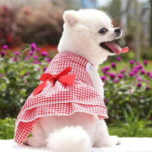   ̎q 킢 _炩  { ybg ʋC L XJ[g ^ gCv[h rVt[[ |jA W[ ig 傫TCY   sN {^ `FbN X