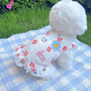   ̎q 킢 _炩  ybg XJ[g  L R[M[ JWA JbvP[L ԕ  t rWt[[ ^ ^  sN 傫TCY