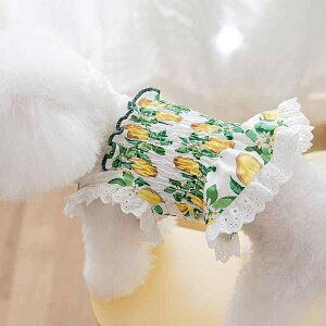   ̎q 킢 _炩   ԕ  vZX XJ[g t [X L ybg gCv[h rVt[[ |jA  ^ 傫TCY F x[W 