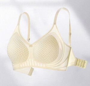 uW[  fB[X    p y _炩 ʋC  K V[X Jbv Xgbv  傫TCY n Vv   x[W