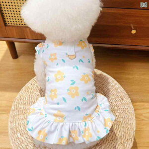   ̎q 킢 ^ ^ ^ R[M[ rVt[[ S[fgo[ ԕ C`S p_ Ȃ m[X[u m[X[u s[X t 傫TCY  sN 