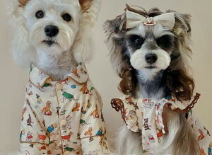   ̎q 킢 ^ ^ ^ ViEU[ gCv[h L t Vc s[X ʋC y o o 傫TCY x[W