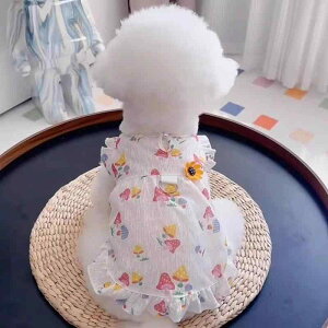   ̎q 킢 ^ L rVt[[ gCv[h ؍   s[X [htbN LmR n[g іh~ o o AC{[