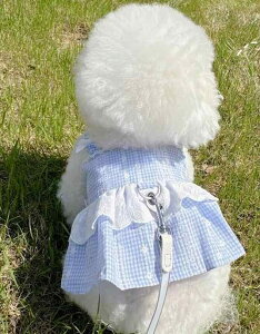   ̎q 킢 ^ gCv[h rVt[[ L t [X { L~\[ s[X  іh~ 傫TCY o