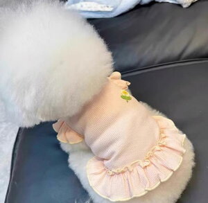   ̎q 킢 ^ gCv[h rVt[[ L t ʋC btn Ђ܂ t s[X JWA o іh~