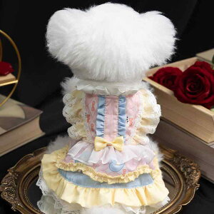   ̎q 킢 ^ gCv[h ViEU[ L  [^ s[X t [X іh~ ʋC o ʐ^Be