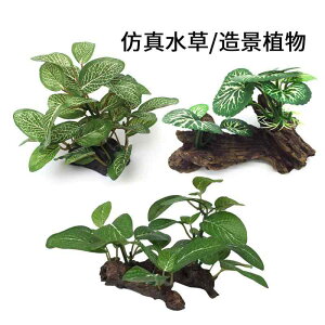 ANAE IuWF   T  A vX`bN   t Mы ঒ u CAEg fR[V  ybgpi CeA  F