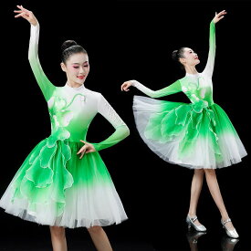 ダンス 衣装 レディース おしゃれ ピンク ホワイト グラデーション 花柄 チュールスカート 半袖 舞台 発表会 合唱 演奏会 コスチューム 学生 青春 活動的