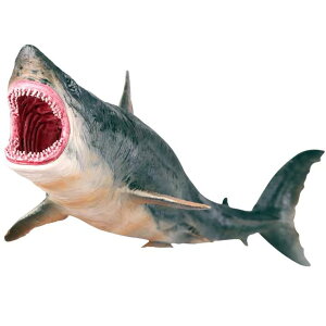  tBMA q j̎q ̎q l` ߋ A Cm RNV fBXvC I  Kh T 