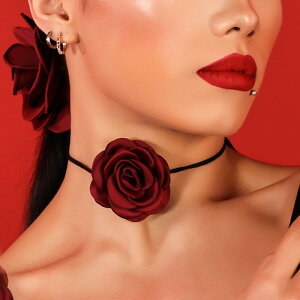 lbNX fB[X  e _X o  `[t `[J[ ANZT[  h p[eB[ Cxg RXv o