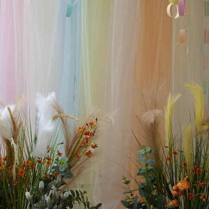 bV n e[uNX wi z fR[V a  _炩 z[ p[eB[ 킢 EFfBO ʐ^  Vv sN  IW