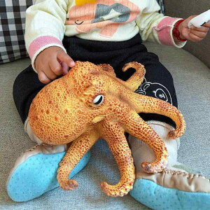 Cm tBMA 傫 ^R q j̎q ̎q \tg ό`ɂ RNV  mߋ A  v[g a