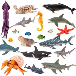 Cm tBMA Zbg zzWU j yM  q j̎q ̎q vX`bN ~j`A RNV  mߋ A  v[g a