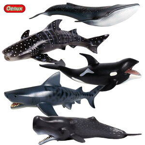 Cm tBMA Zbg zzWU Kh ViKXNW  q j̎q ̎q vX`bN n[h ~j`A RNV  mߋ A  v