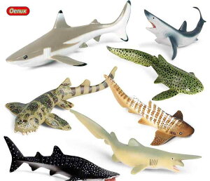 Cm tBMA WxGU VNU CJ  q j̎q ̎q vX`bN ~j`A RNV  mߋ A  v[g a