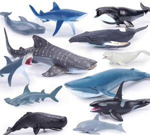 Cm tBMA Zbg CJ zzWU V`  q j̎q ̎q vX`bN ~j`A RNV  mߋ A  v[g a