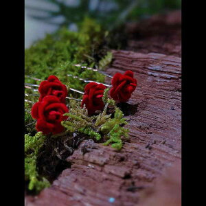 񂴂  wAANZT[ wAs  o ԏ U a uC_ Vw  ؕ