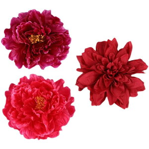 wAANZT[ fB[X ԏ     v Vw U l  p[eB[ wbhhX a 