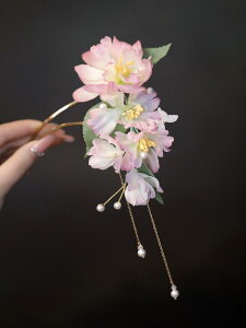 񂴂   fB[X   u^ z ԏ  wAANZT[   㓪p