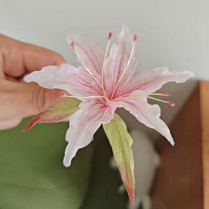 wAANZT[ S   Õ  a  fB[X   o Be RXv