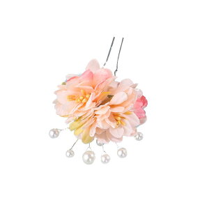 񂴂  wAs fB[X ԏ p[ U  Xn tFCNt[ `Ci ANZT[ a  