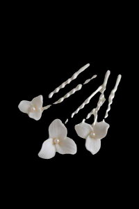 񂴂  wAR[    ԃ`[t GKg Vw  EFfBO wAANZT[ ʐ^Be 