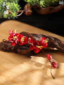 񂴂   fB[X  ~ ~ Õ   wANbv t[ a RXv Cxg