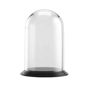 ۑe vX`bN fBXvC AN Jo[  g  W   [  {g ho ~` Vv  ɂ